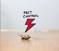 247 Cockroach Pest Control Hobart image 4